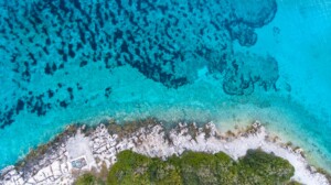nature-based solutions projects 1